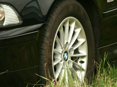 A teljes méretű képhez kattints ide