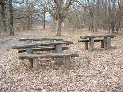 A teljes méretű képhez kattints ide