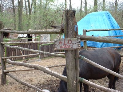 A teljes méretű képhez kattints ide