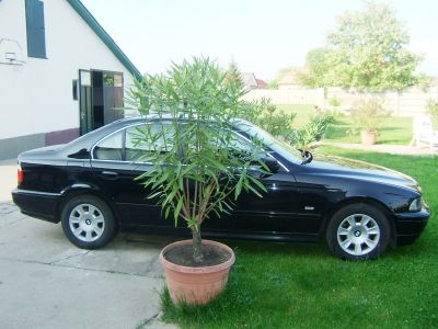 A teljes méretű képhez kattints ide